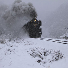 【SL湯けむり号】が陸羽東線の小牛田〜新庄間を運行。