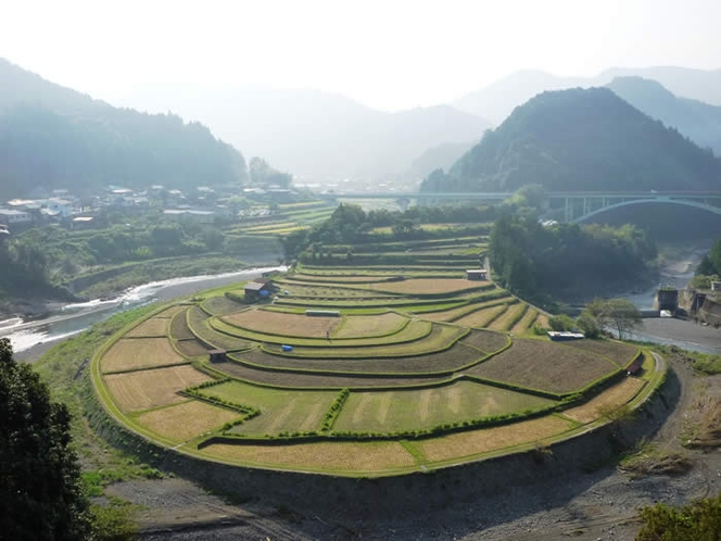 あらぎ島・晩秋1