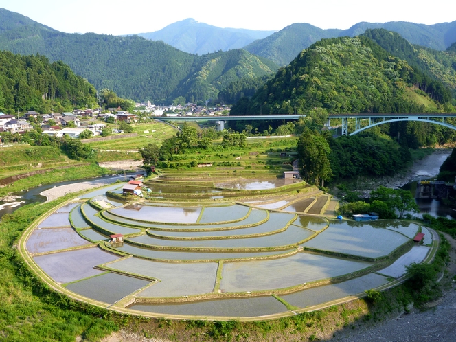 田植え前のあらぎ島