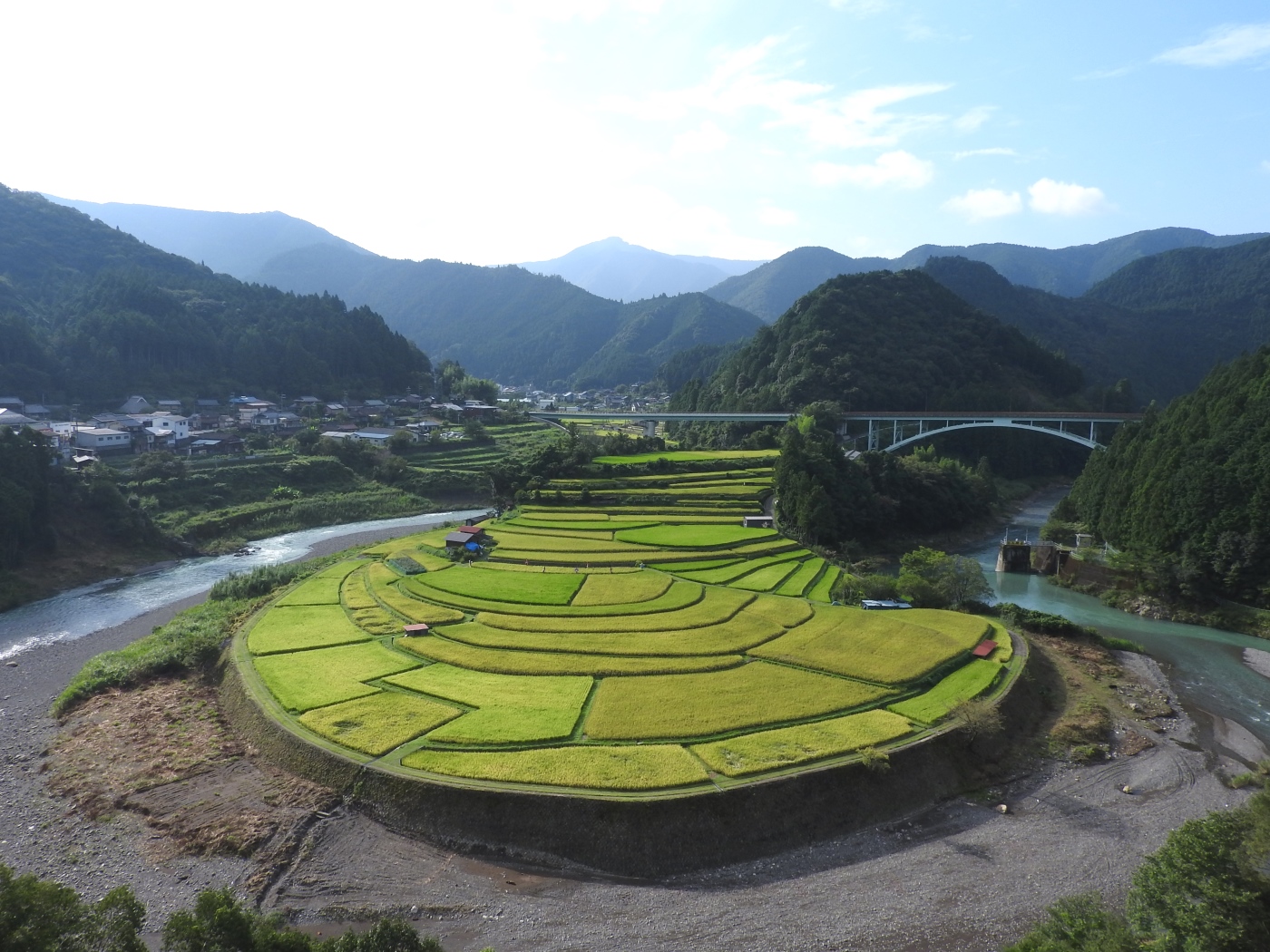 あらぎ島9月