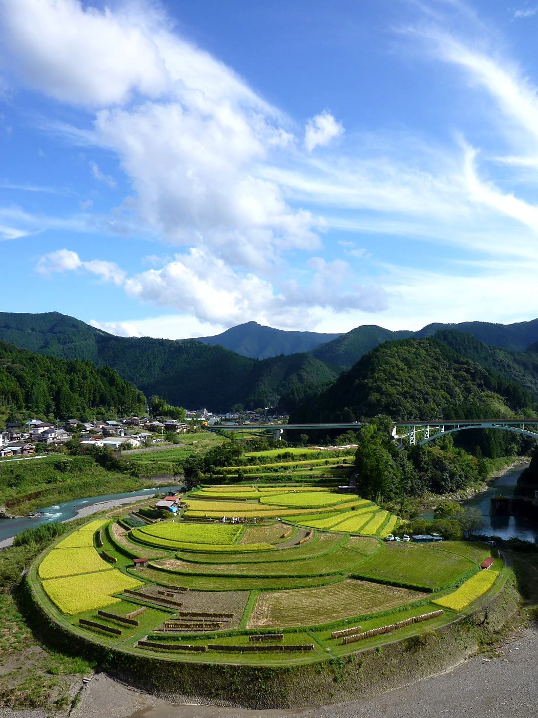 稲刈りが始まった、秋のあらぎ島