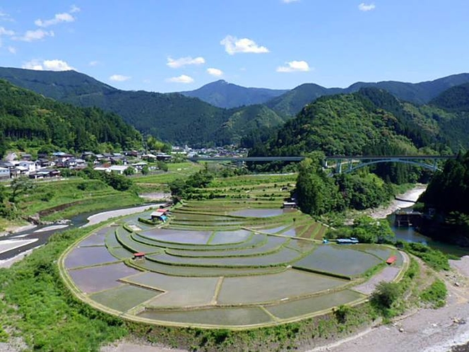 あらぎ島6月