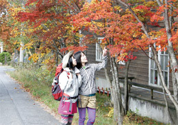 写真4