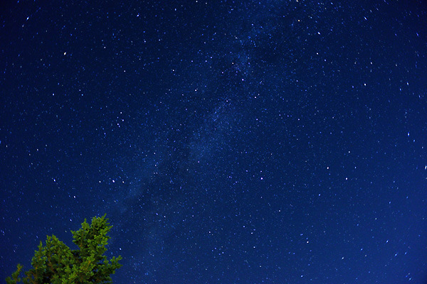 写真6