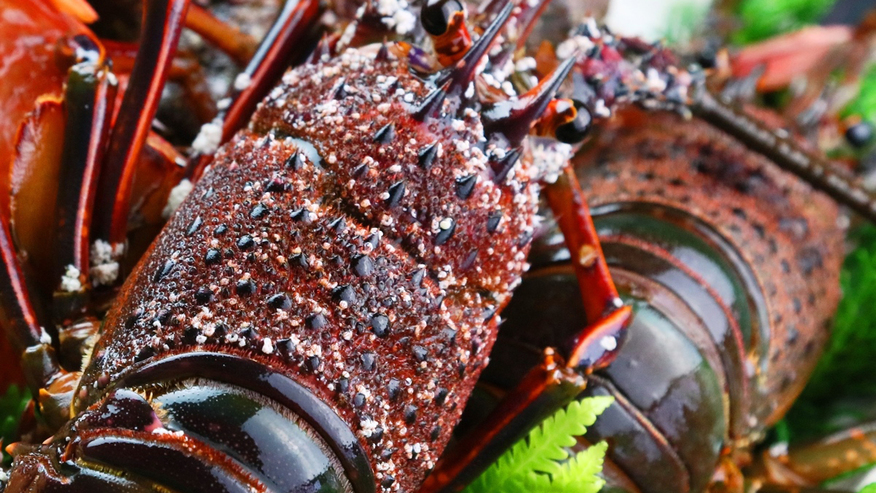 【 GW 】伊勢海老付◇お造り増量プラン〔2食付〕