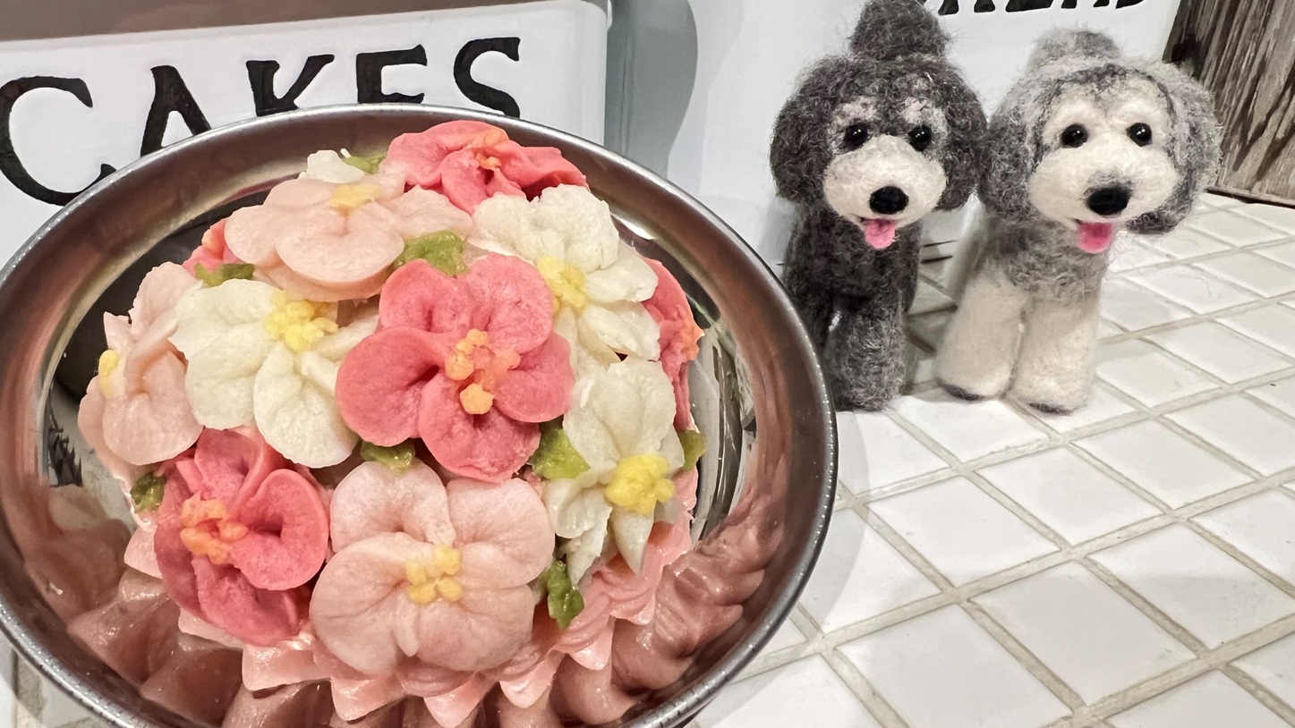 【ウチの仔の記念月をマーフィでお祝い】新鮮金目鯛をしゃぶしゃぶで！ぴっちぴち刺し盛りも楽しむプラン