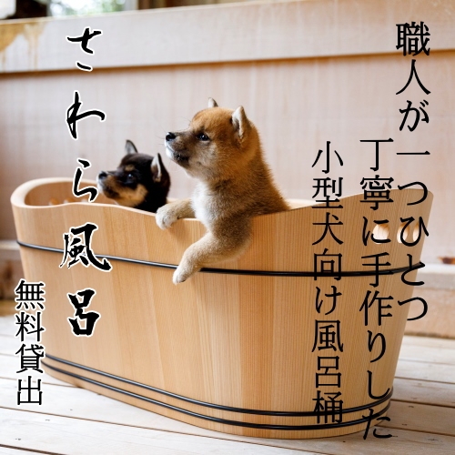 ペットと泊まれる貸切天然温泉の宿 マーフィ 宿泊プラン一覧 楽天トラベル ペットと泊まれる貸切天然温泉の宿 マーフィ 宿泊プラン一覧 楽天トラベル