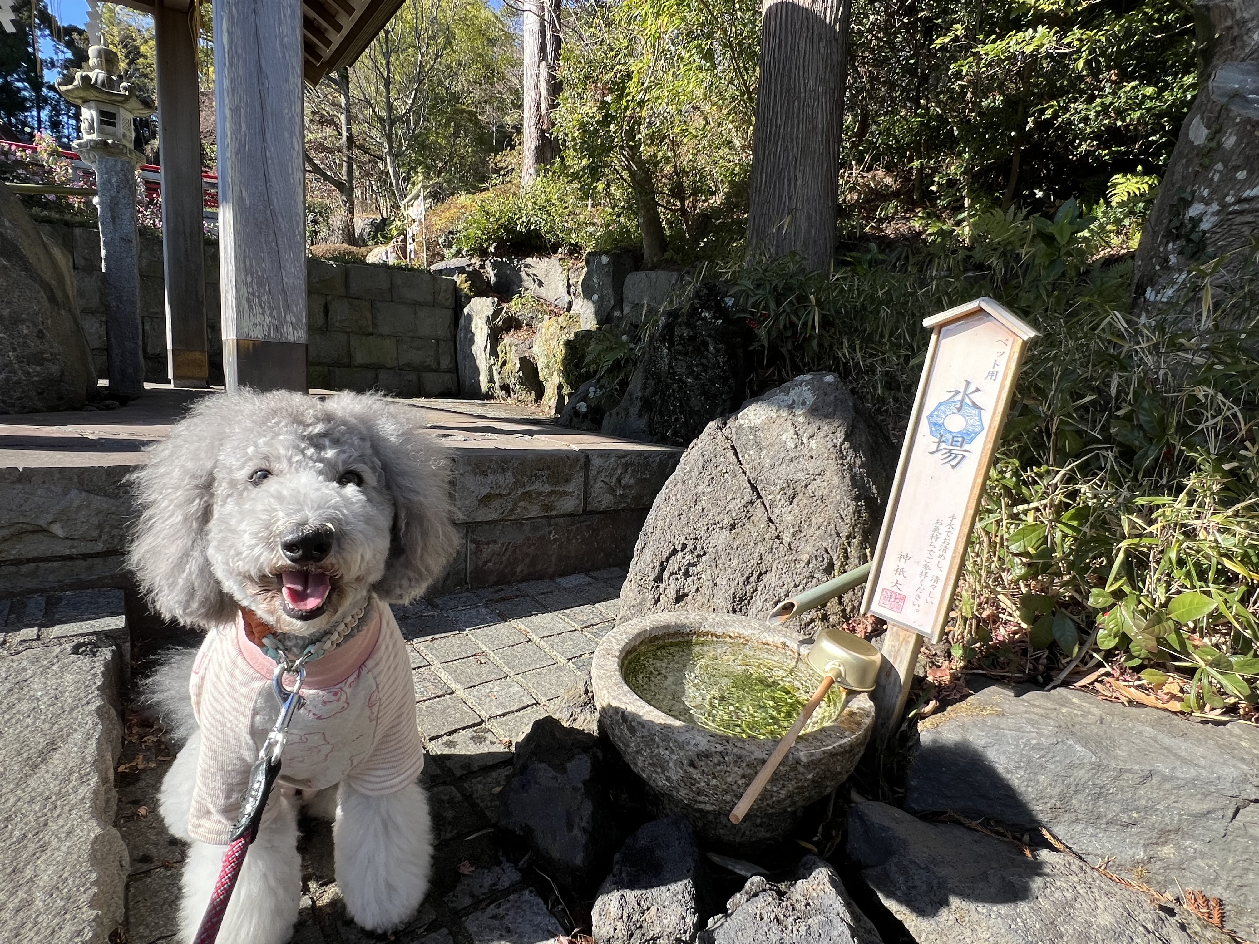 神祇大社２