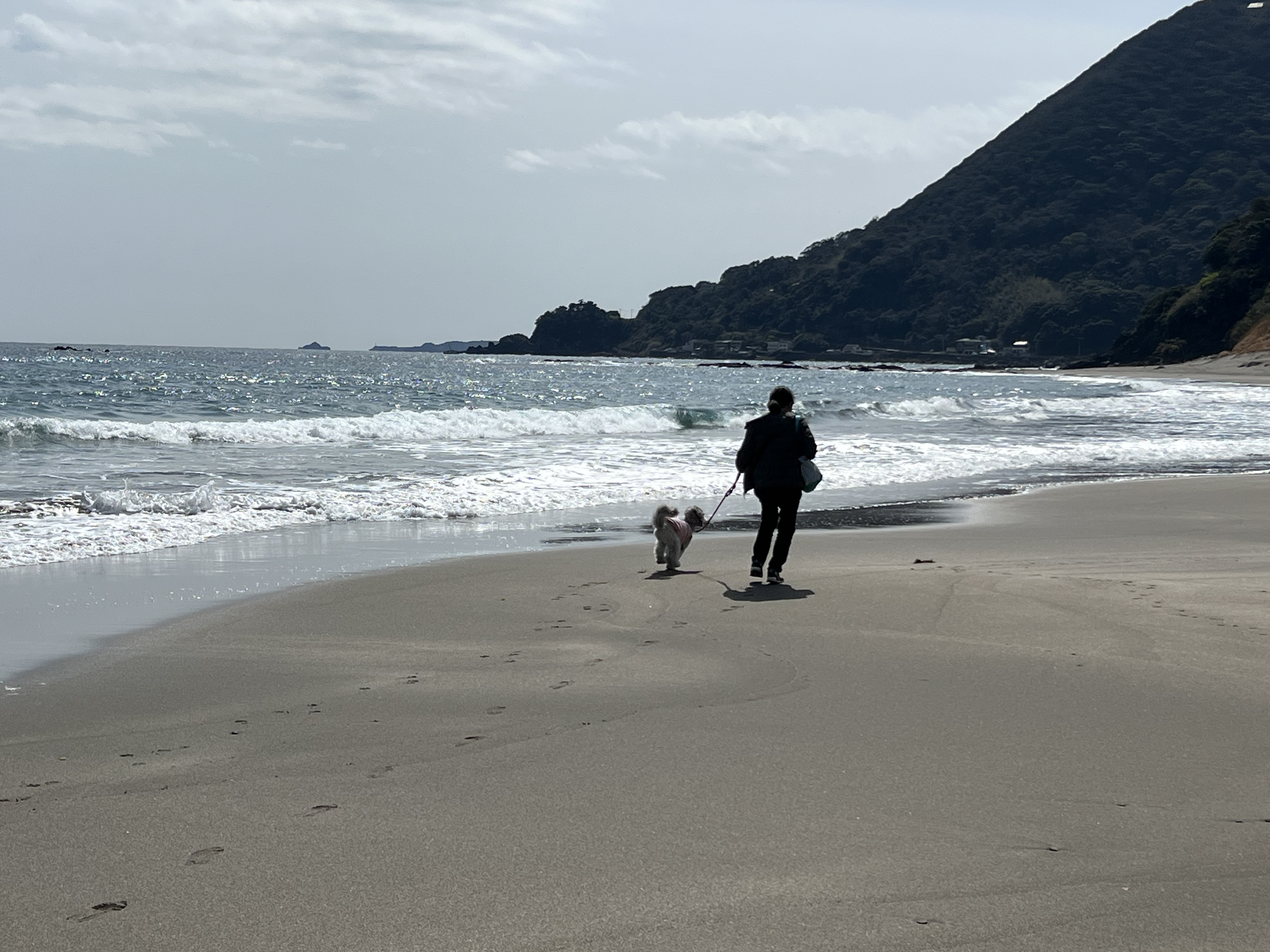 えびね・ゆりねと行く、おでかけ伊豆半島♪