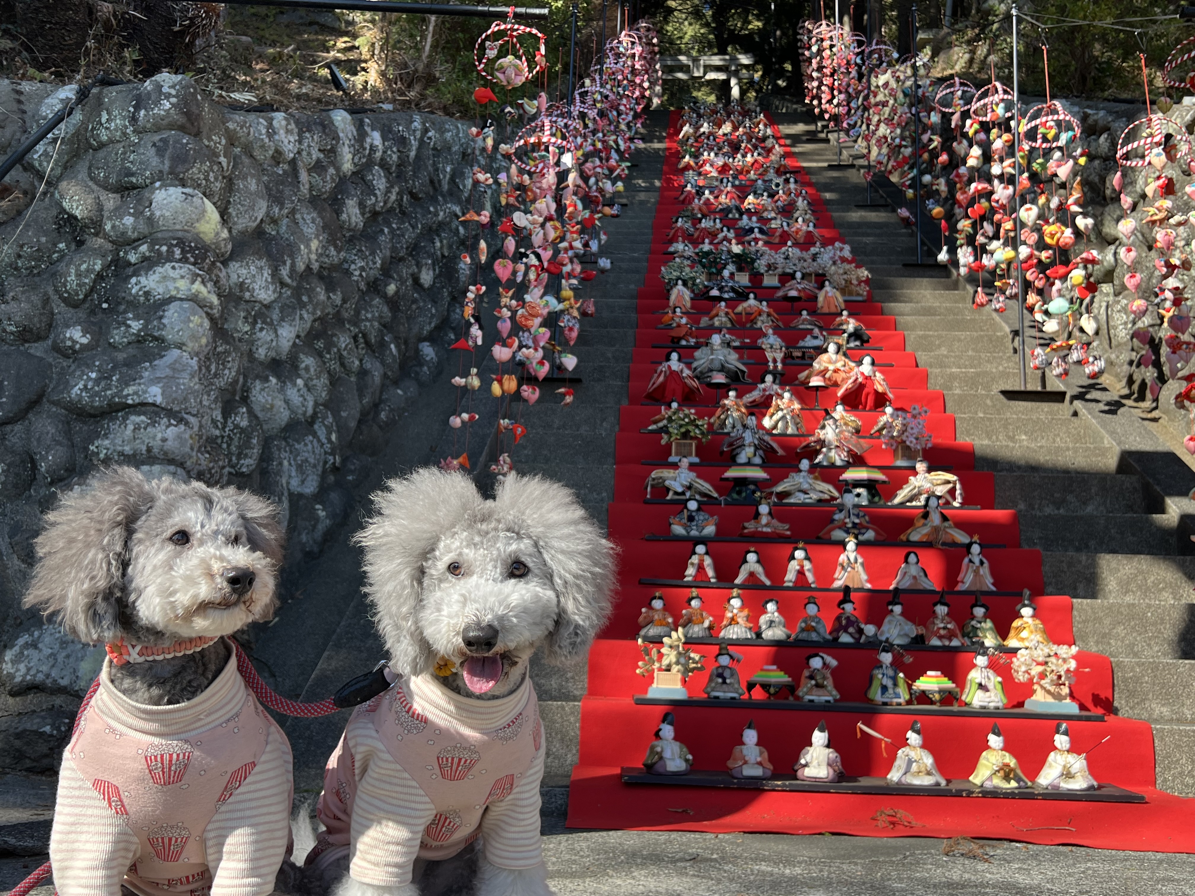 素戔嗚神社の雛段飾り１
