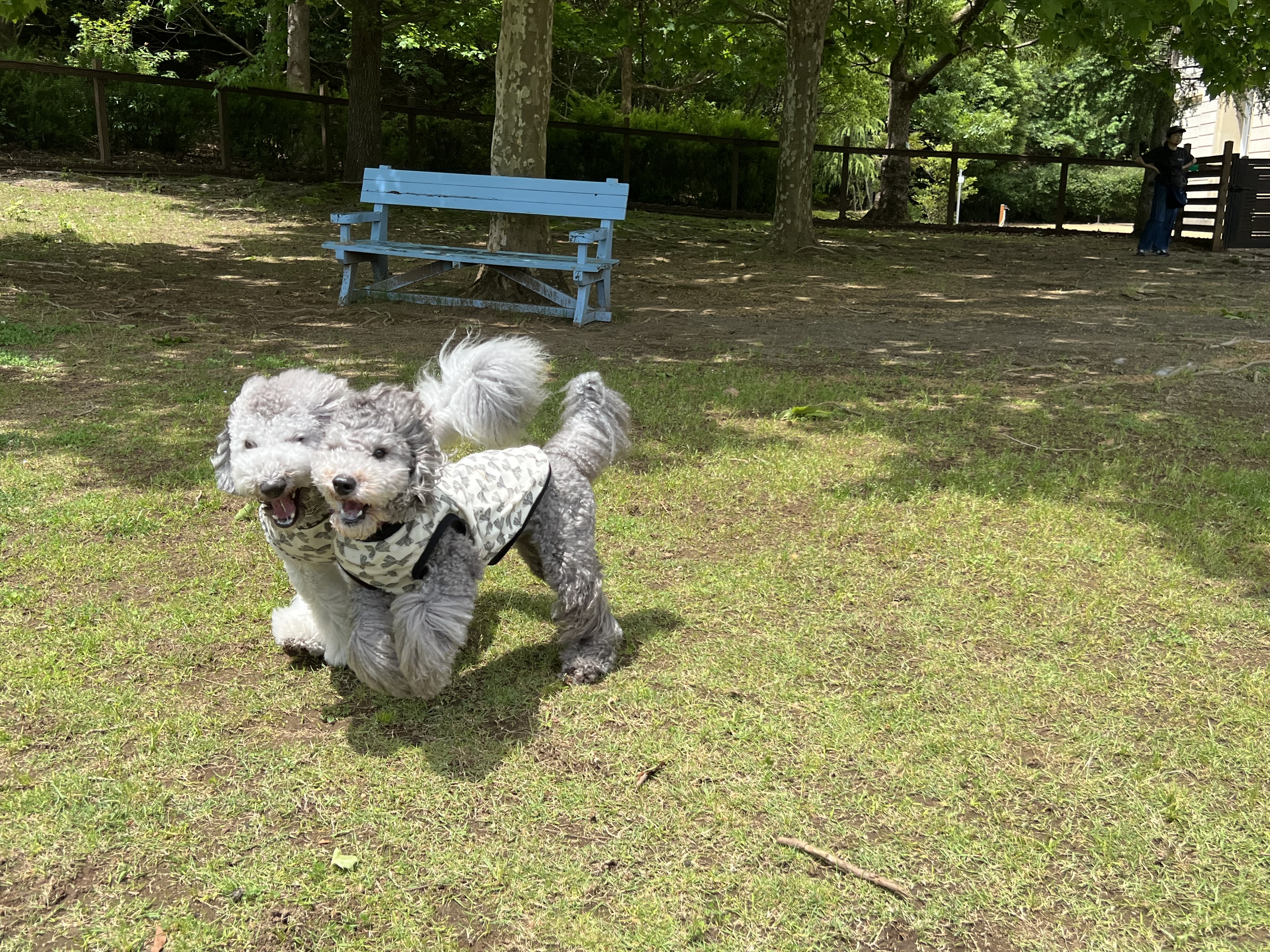 看板犬えびね・ゆりねのおでかけ伊豆半島（河津バガテル公園）