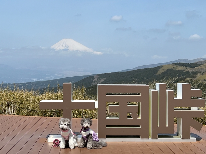 えびねとゆりねと行くスポット紹介♪（十国峠のフォトスポット）