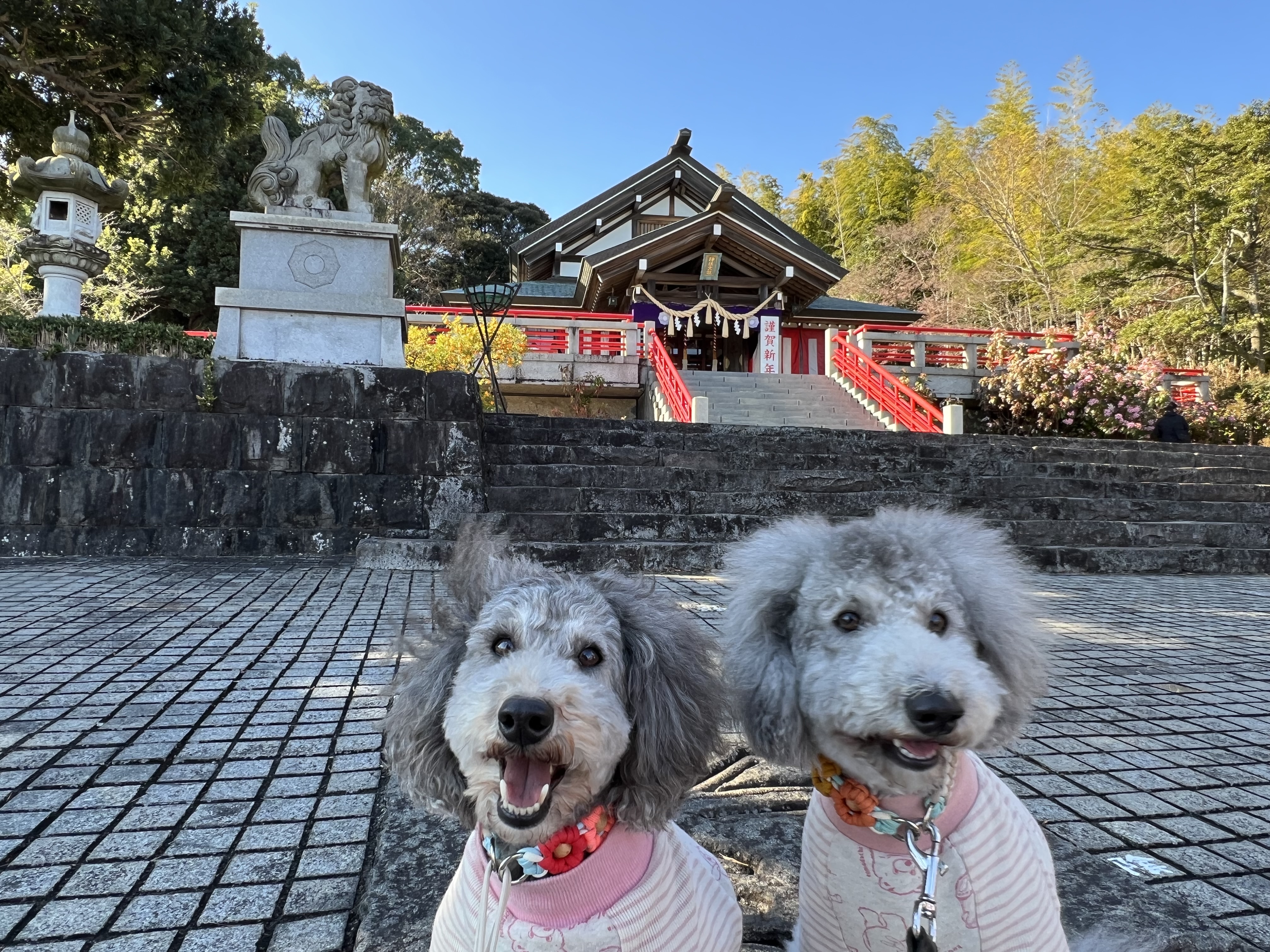 神祇大社１