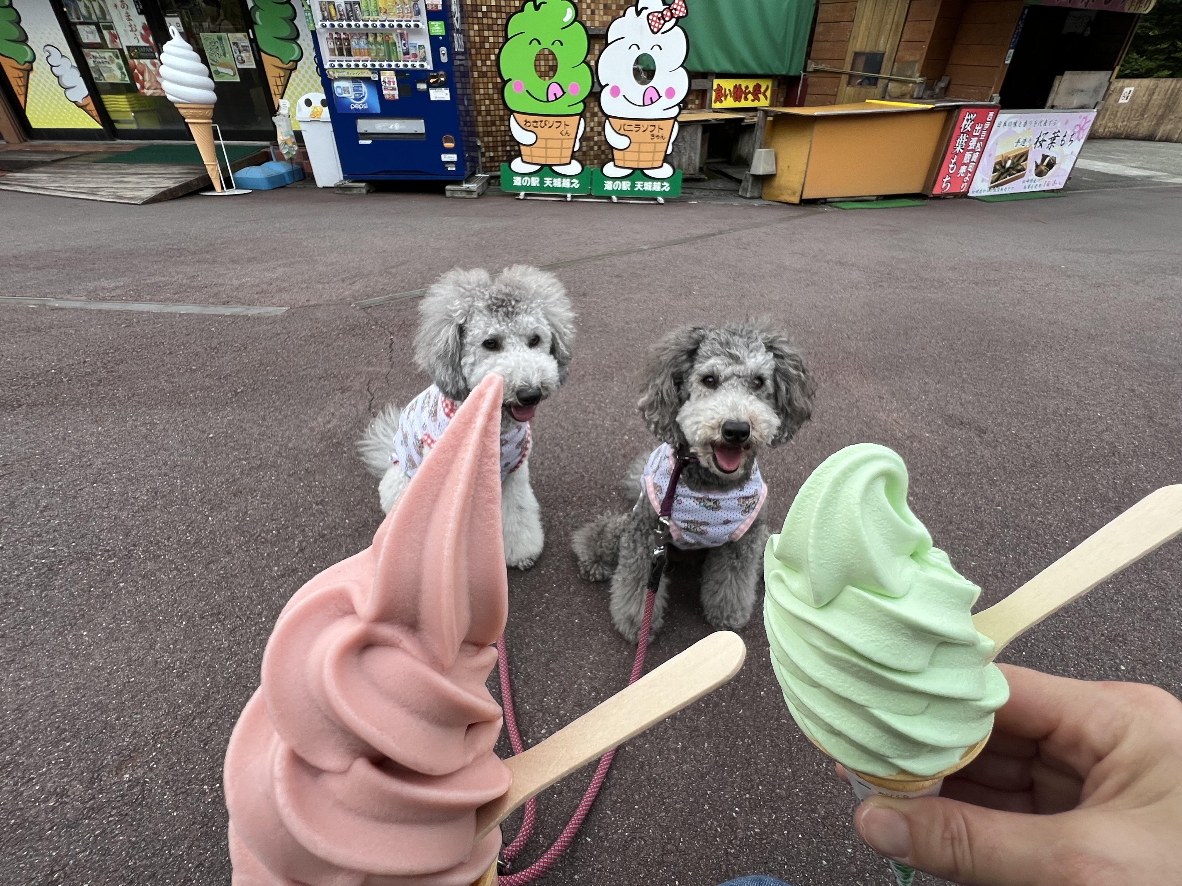 わさびソフトも人気です♪