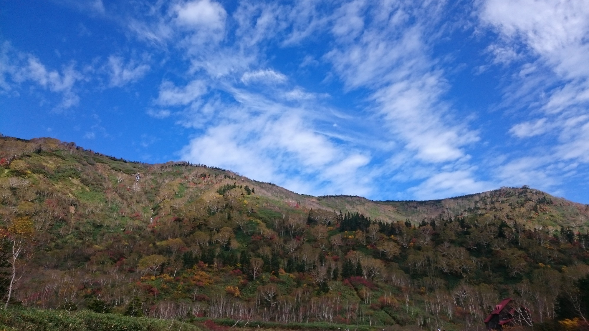 栂池自然園