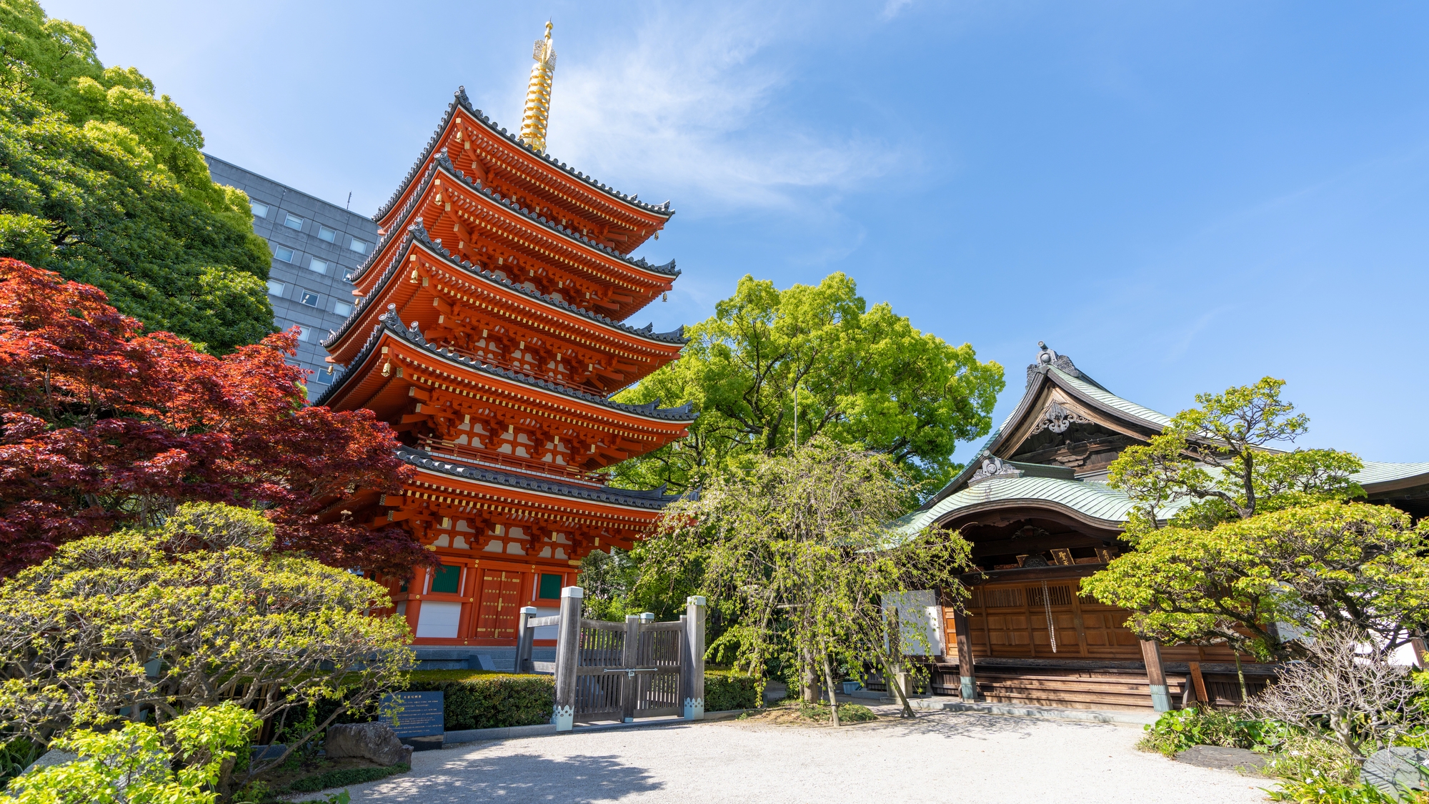 【当館から徒歩で約8分】東長寺