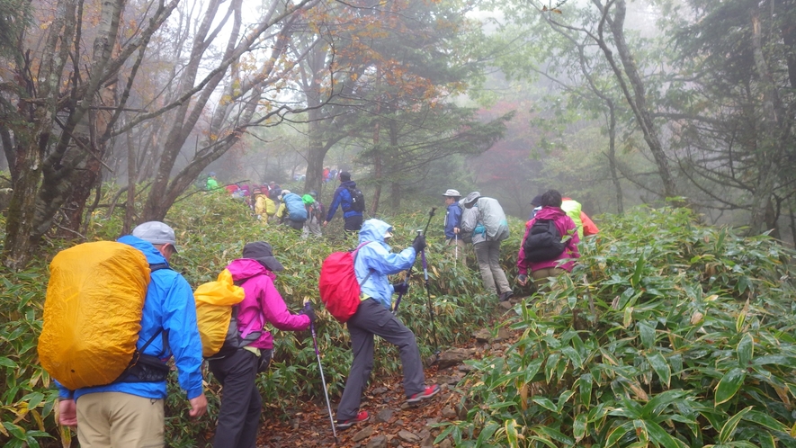 *【イベント】大菩薩登山。山好きに人気の日本百名山「大菩薩嶺」を歩きます。