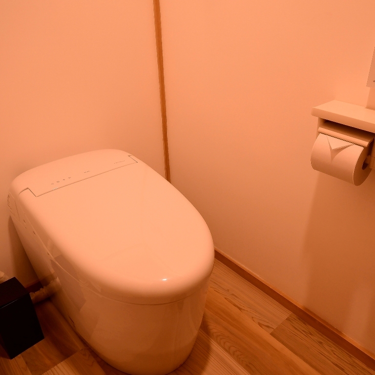 客室トイレ一例