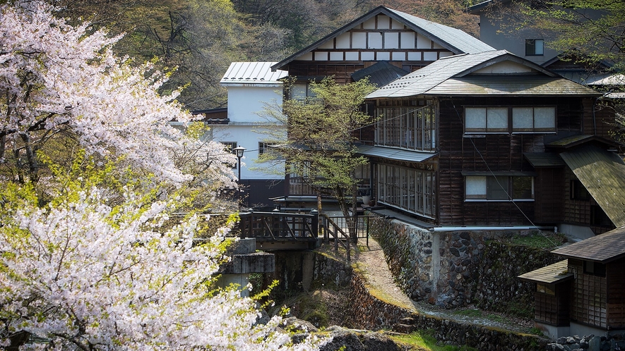 桜と湯治屋