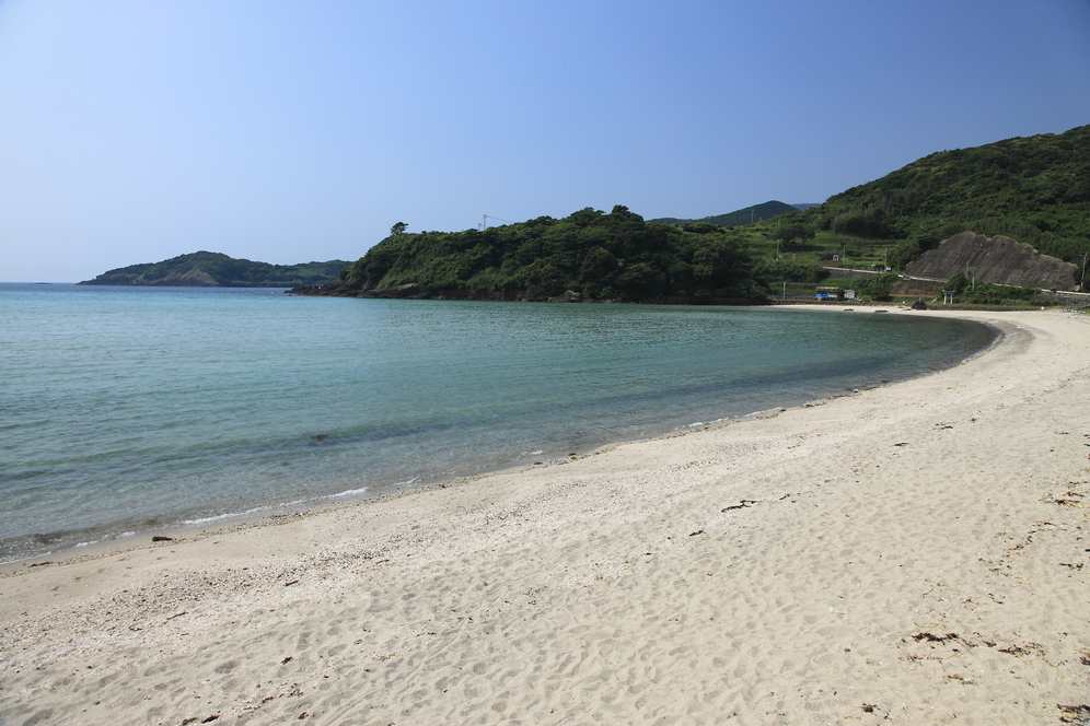 写真7