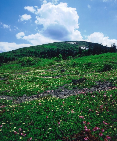 【2食付】森吉山の隠れ家で心休まる休日