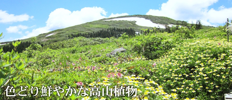 【素泊まり】シンプルステイで満喫！