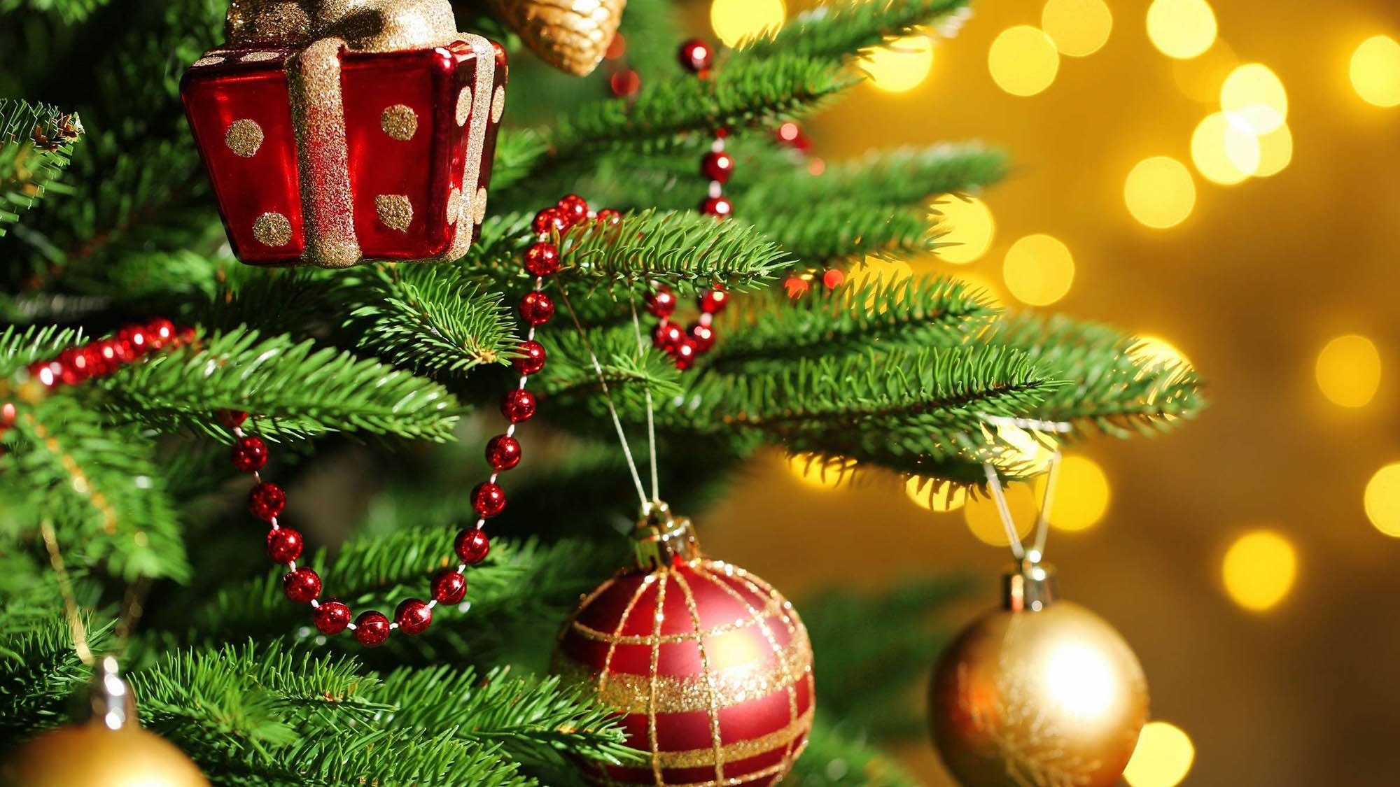 〜笑顔溢れるクリスマス〜「カザ」クリスマスディナーバイキング付プラン（1部　17：30〜）