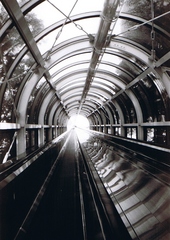 銀世界へのトンネル