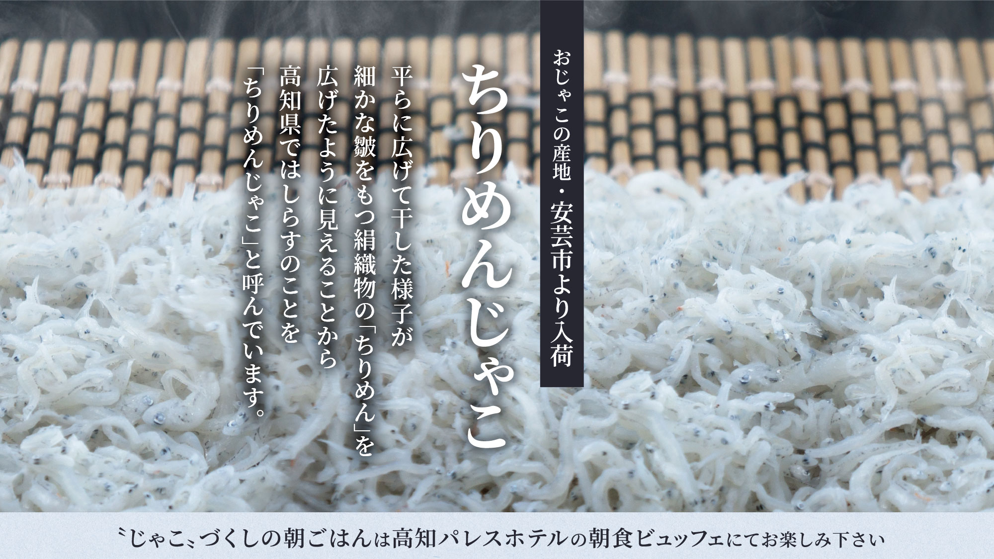 【詳細情報】安芸市産のちりめんじゃこ