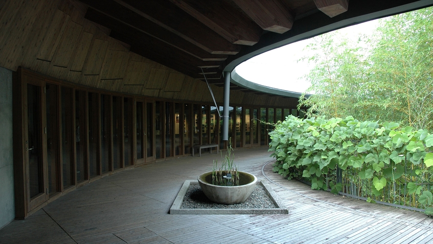 高知県立牧野植物園（車20分）