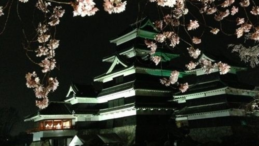 ■松本城の夜桜会
