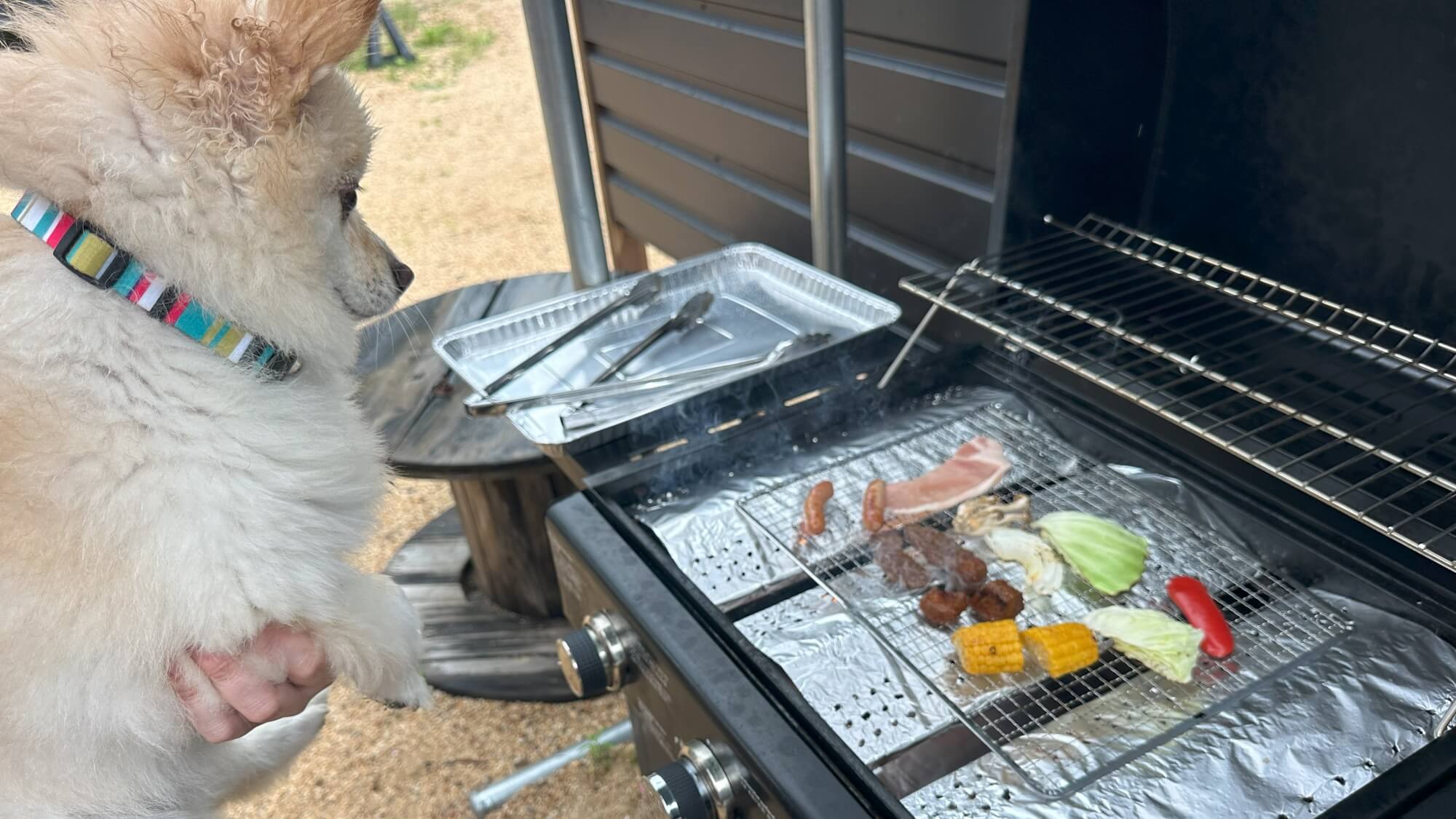 ■ペットと一緒にBBQも可（MIASA BASE3と4のみペット可）