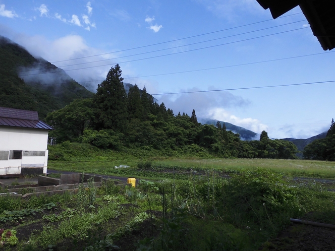 窓の風景＿7月