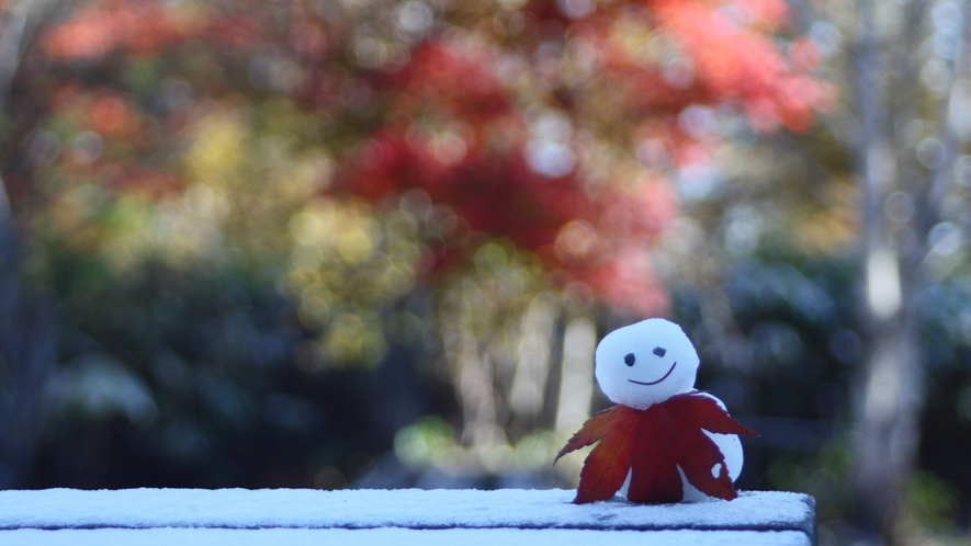 *[秋イメージ]タイミング合えば、雪と紅葉がいっぺんに？！例年紅葉の見頃は10月～11月頃
