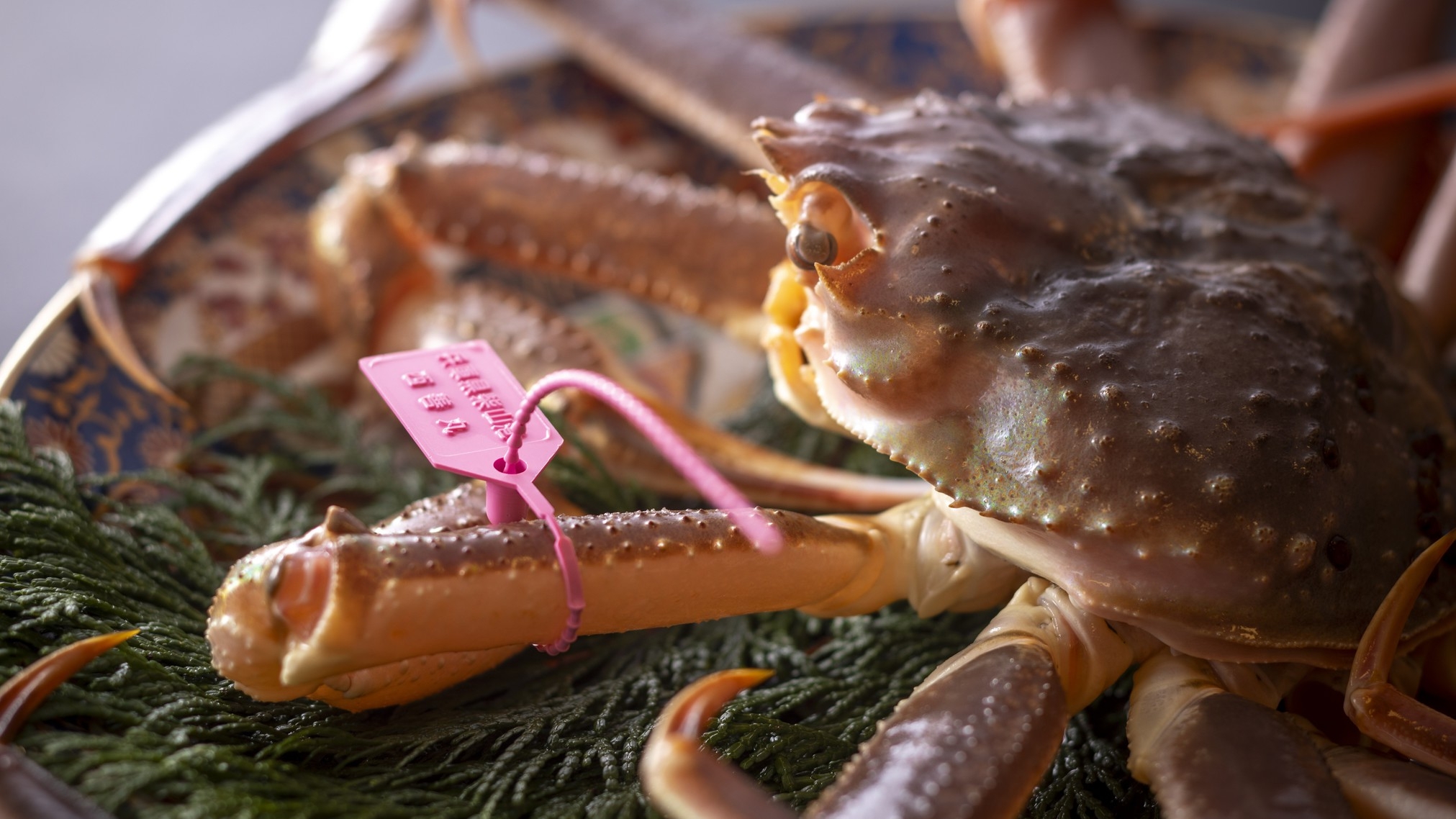 【冬・別湯】全室温泉展望風呂付で湯と食を堪能◆活松葉ガニ＆北洋産ズワイガニ2人で2杯使用MIXコース