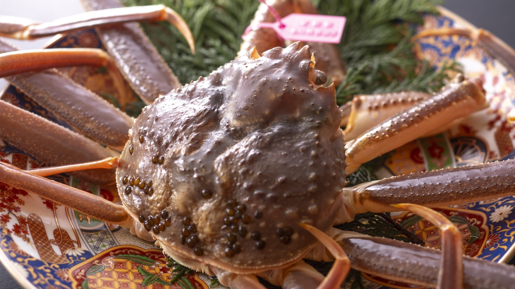 【昼食】タグ付活松葉ガニ◆800g・1杯使用！冬の味覚の王様を堪能活松葉ガニコース【無料温泉入浴付】
