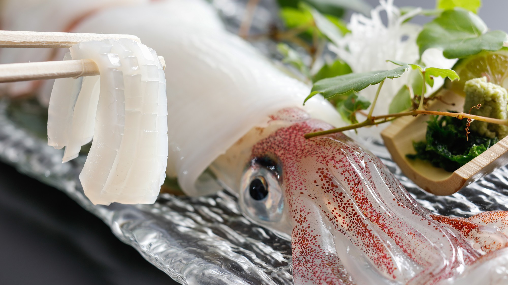 【夏のお料理】夏の味覚・京丹後イカ「漁火」の姿造り（一例）