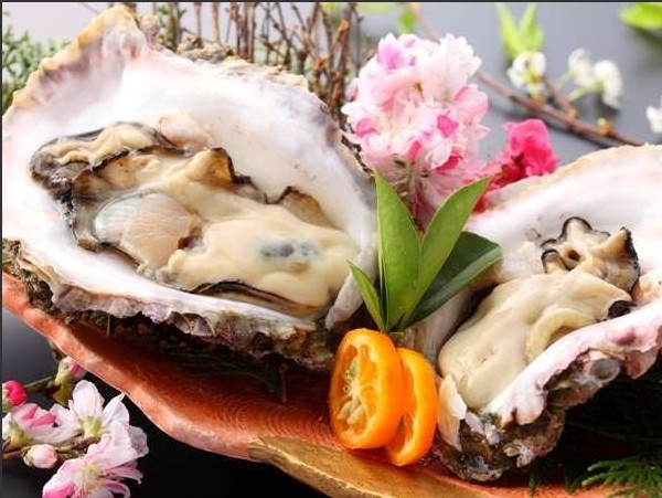 なんと手のひらサイズ ！濃厚で海のチーズと呼ばれる『天草天領岩牡蠣』プラン天領岩牡蠣2個