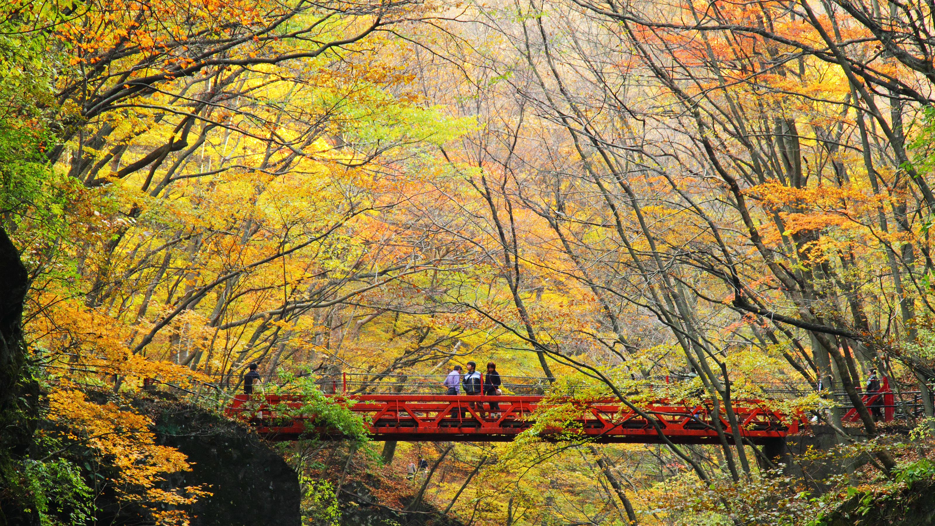 吾妻峡の紅葉