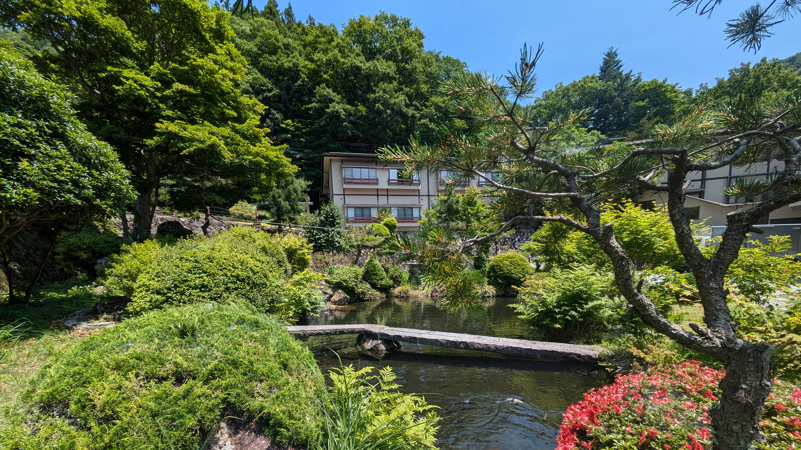 庭園