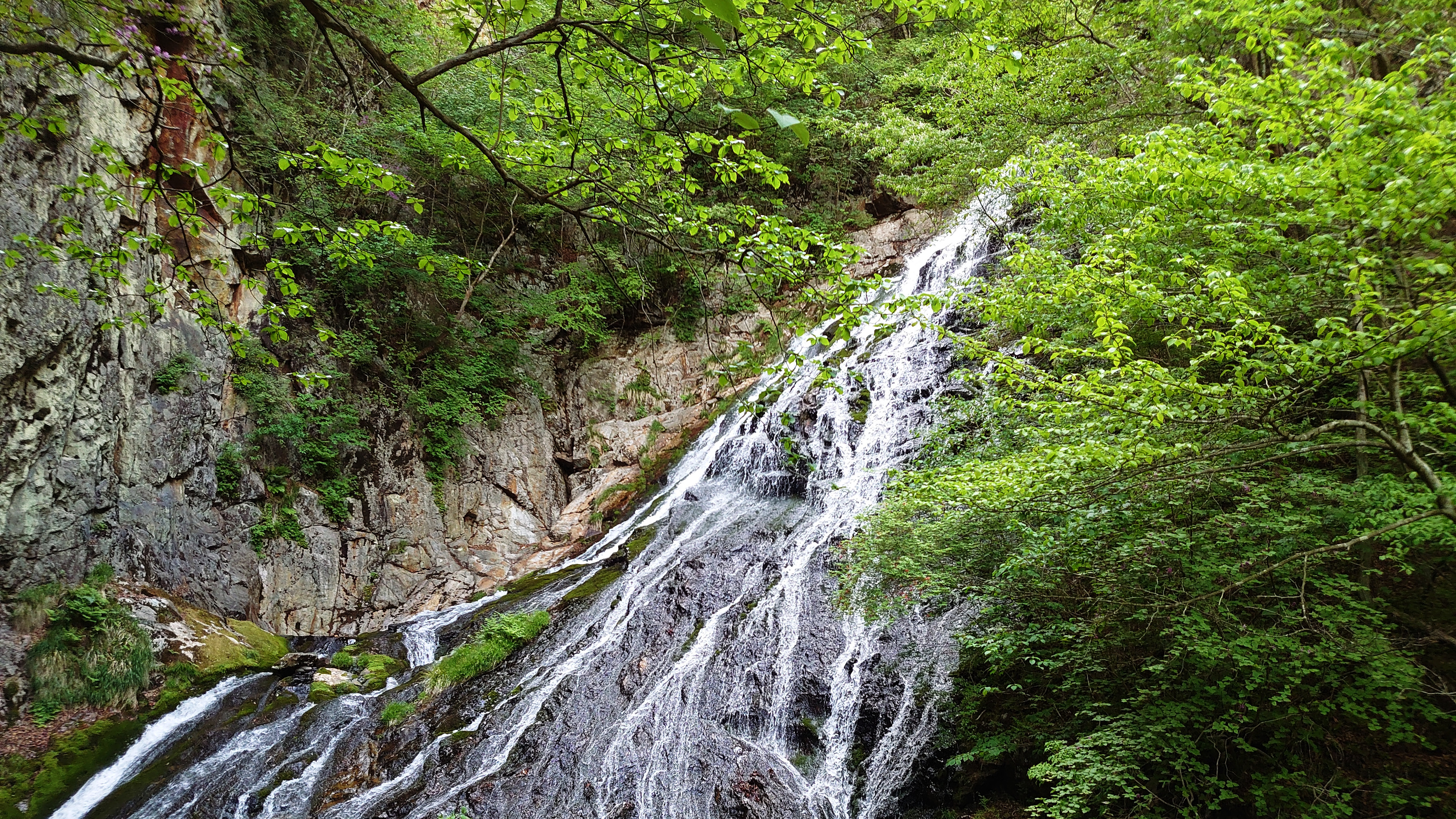 小倉の滝