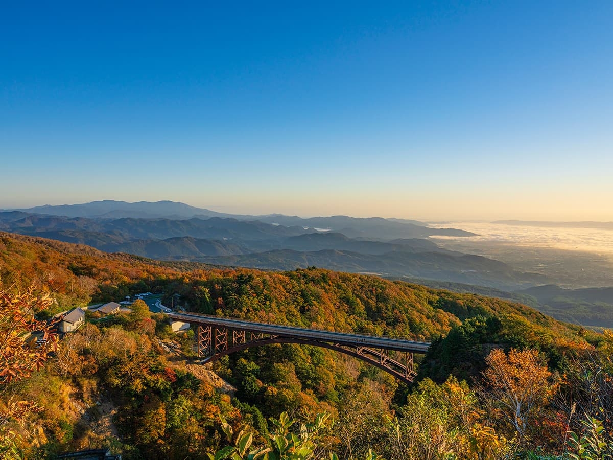【この秋は紅葉の名所盛りだくさんの福島へ】＼夕食はアルコール飲み放題／1泊2食付バイキングプラン