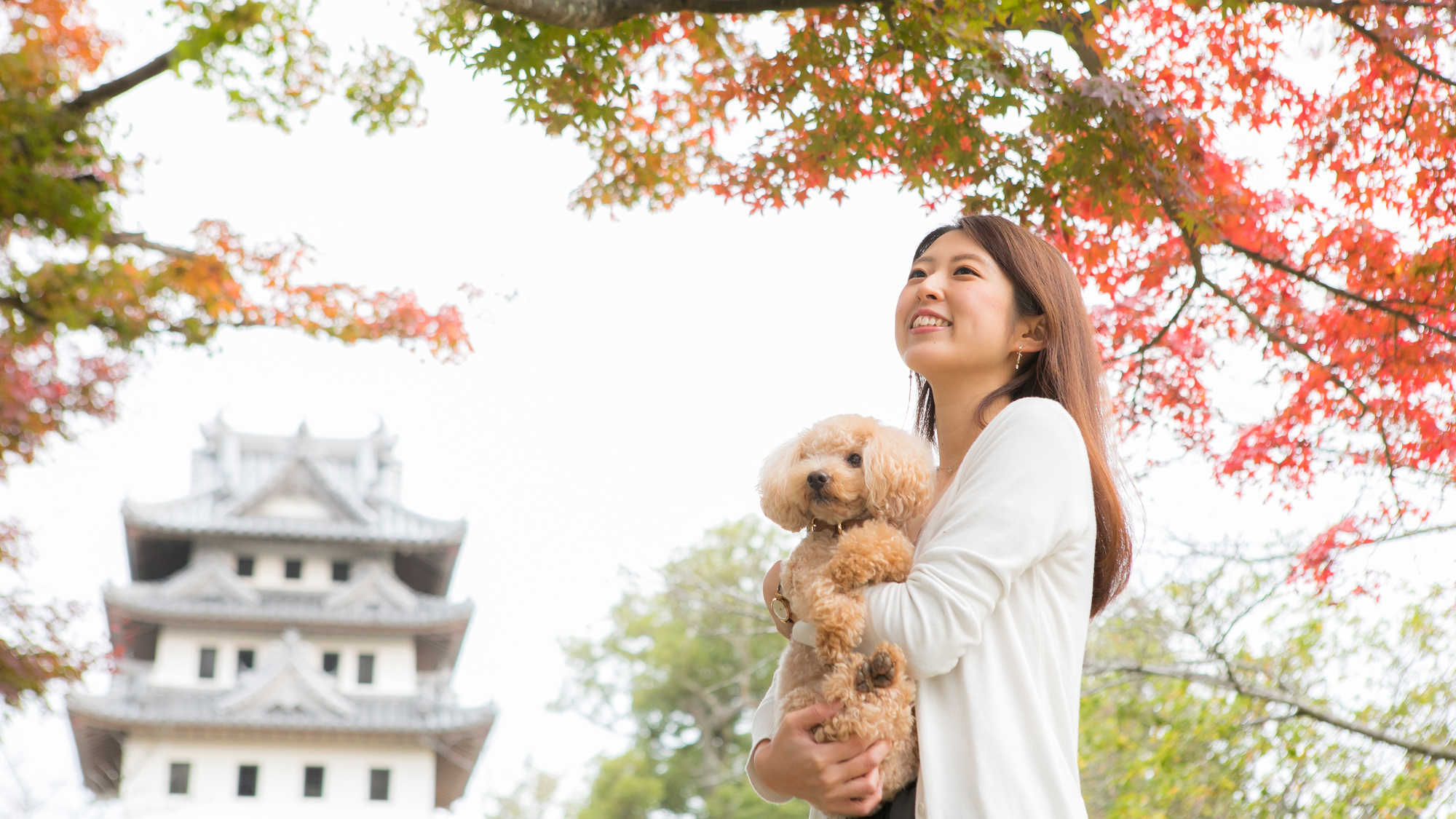 【洲本城】春には桜。秋には紅葉の名所に