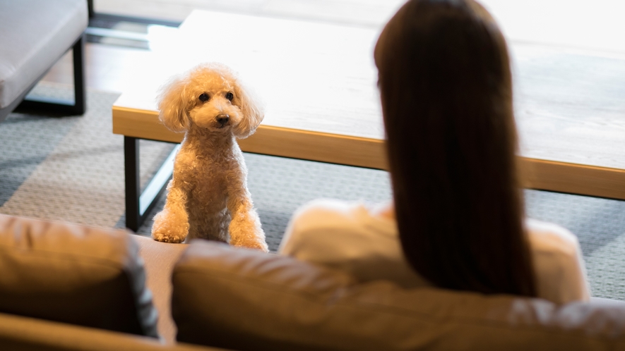 ≪温泉露天風呂付ドッグフレンドリーヴィラTypeB≫愛犬と一緒にゆっくりと寛げる空間