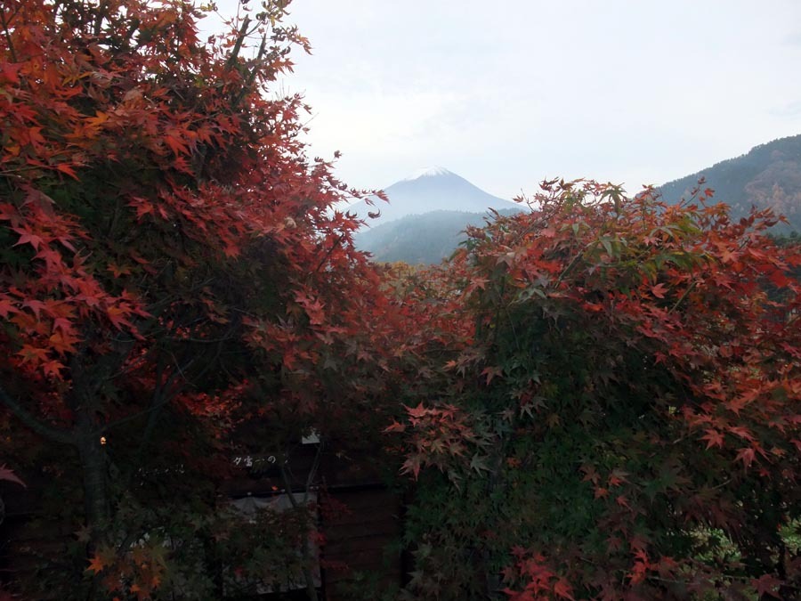 From Japanese-style room