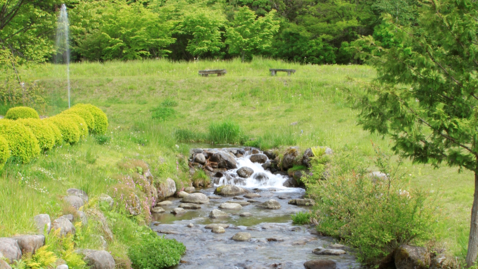 駒王の周辺は広々とした公園になっており、美しい自然がいっぱいです。