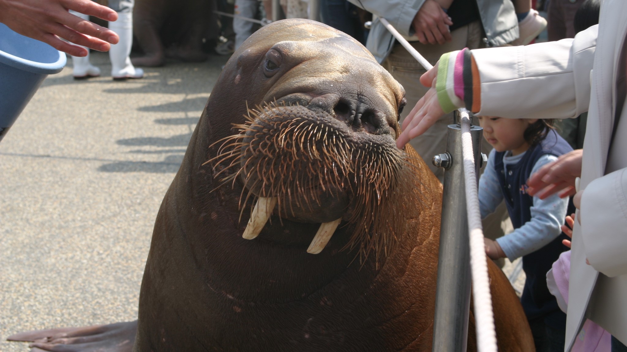 うみたまご水族館