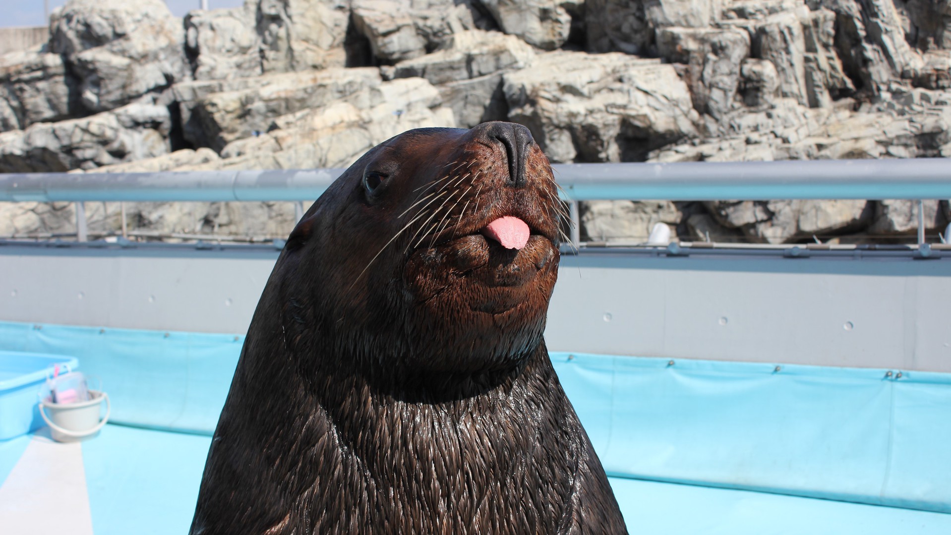 うみたまご水族館