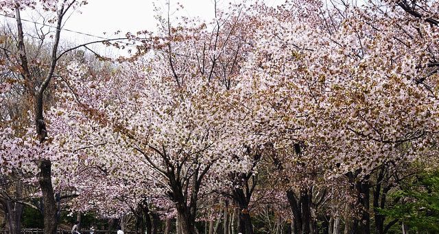 ホテルルートイン札幌中央 - 写真 95