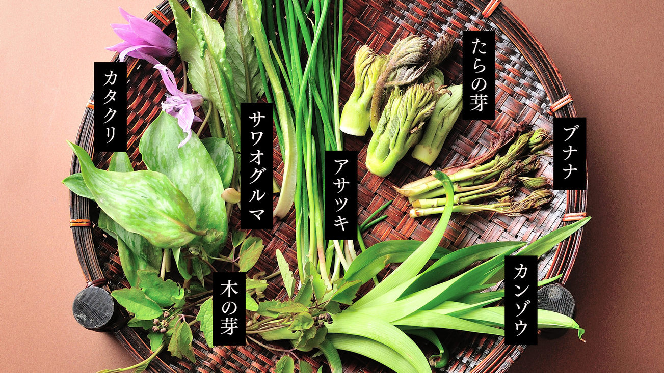 【ヘルシープラン】健康志向や少食のお客様へお料理控えめ